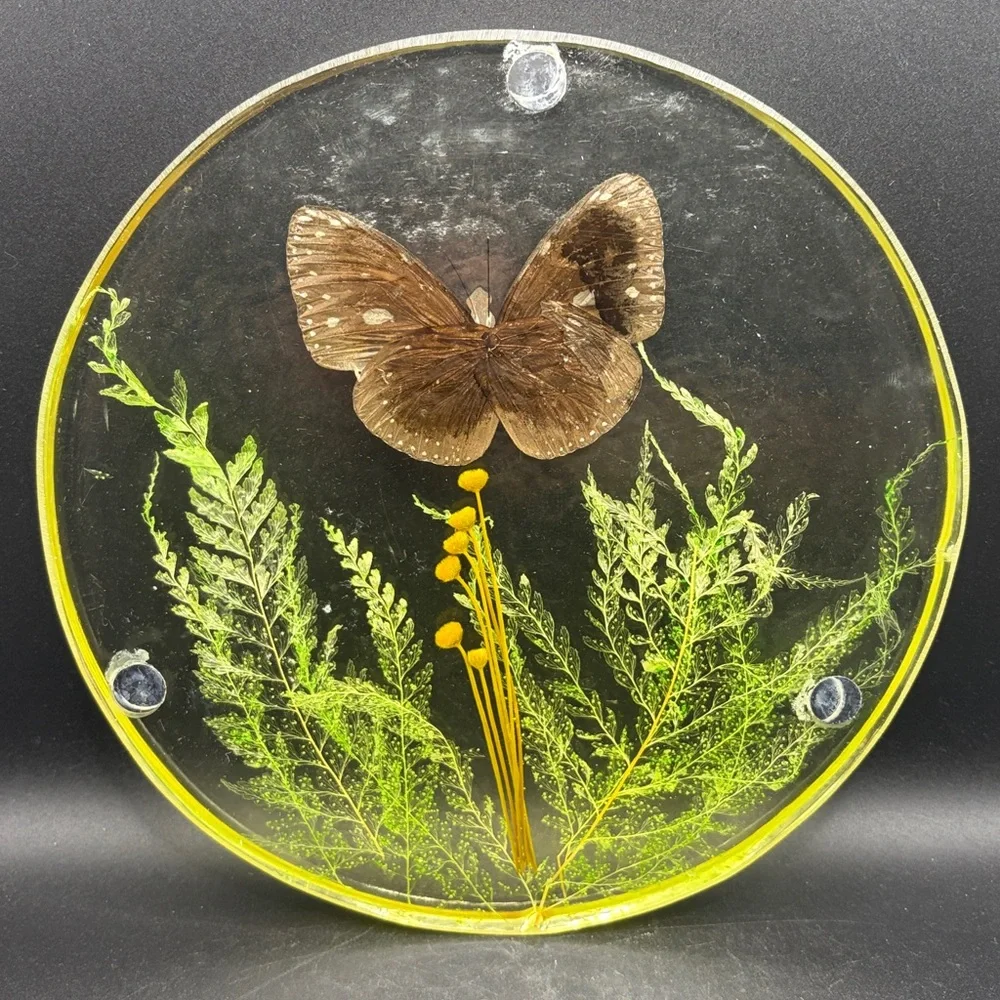 Vintage Butterfly Dried Flowers Trivet Resin Acrylic Lucite 1970s Kitchen Retro